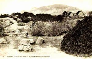 Tipasa - Ruines romaines 55